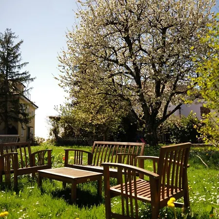 Abc Abc B2 * מיירסבורג