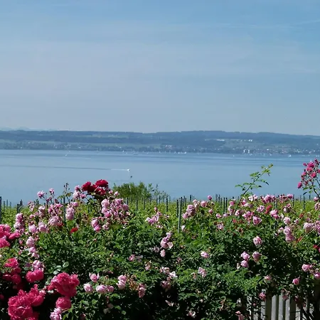 Abc Abc B2 Apartment Meersburg